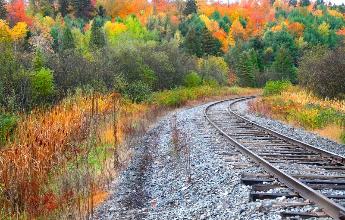 canadian rockies tours through mountain scenery